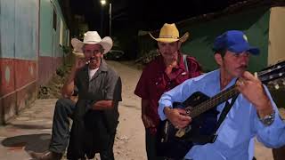 Música de cuerda serenata Santa Teresa San Francisco Del Valle Ocotepeque Honduras Octubre 2024 [upl. by Dwane]