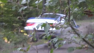 Rally Blekinge 2015  Crash amp Action [upl. by Cristal]