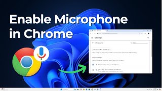 How to Enable Microphone in Google Chrome [upl. by Apur]