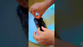 Pennale pennale fish fryfish pollichath short videoKuttykurumbii [upl. by Hayne237]