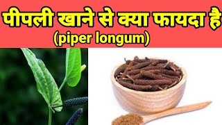 पीपली खाने से क्या होता है।khansi ke liye pippali ka upyog kaise kare piperlongum [upl. by Aniela]