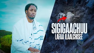 Sigigaachuu Lafaa Ilaalchisee  Raajii Masarat Taayyee  Namni Hundinuu ilaaluu kan qabu  ARARA TV [upl. by Jaella]