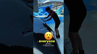 A huge dolphin caused a panic in the water park 🐬🌊 [upl. by Mahala]