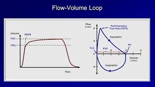 Pulmonary Function Tests PFT Lesson 2  Spirometry [upl. by Zoes]