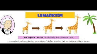 Variation and Lamarckism [upl. by Yalhsa289]