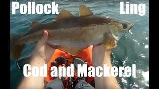 Catching Pollock and Cod Kayak Fishing For Beginners Sea Fishing Dunbar Scotland Uk [upl. by Atinehc]