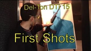 DelTon DTI 15 556 AR15 First Shots [upl. by Anesusa829]