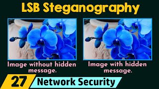 LSB Steganography  Demo [upl. by Adiuqal]