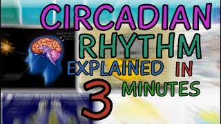 CIRCADIAN RHYTHM EXPLAINED IN 3 MINUTES  WHAT IS THE CIRCADIAN RHYTHM  HUMAN BODY CLOCK [upl. by Nodaj]