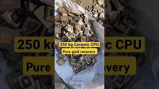 250 kg CPU processer Gold recovery ewaste goldrecovery [upl. by Aimahc]