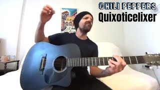 Quixoticelixer  Red Hot Chili Peppers Acoustic Cover by Joel Goguen [upl. by Shugart]