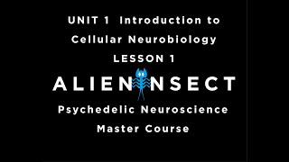 Psychedelics and the Brain Master Course UNIT 1 Introduction to Cellular Neurobiology LESSON 1 [upl. by Lemart]