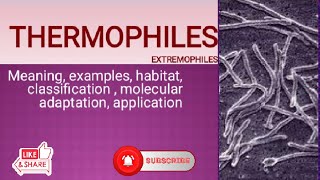 Thermophiles hyperthermophile Extremophiles classification molecular adaptation application [upl. by Liuka]