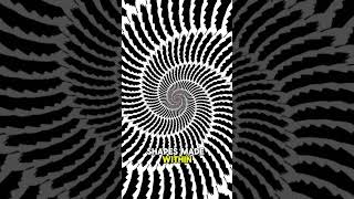 CRAZY ILLUSION  HYPNOTISE YOUR EYES AND WATCH UNTIL THE END crazyillusion illusion [upl. by Mcmaster]