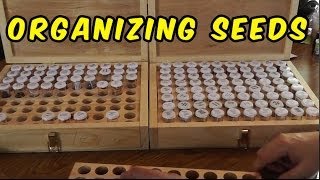 How To Store And Organize Your Seed Collection [upl. by Aynam]