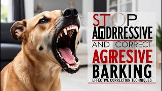 How to Stop Aggressive Barking in Dogs Effective Tips [upl. by Belldame]