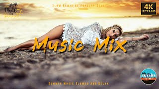 Music Mix 2024 🎧 Slow Remix of Popular Songs 🎧 Summer Music Slowed And Relax 42 [upl. by Linnell]