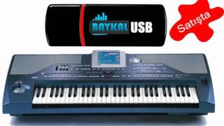 Baykal Korg Pa 800 Pa2x  Harmandalı  MuğlaampAydın Zeybek [upl. by Quin]