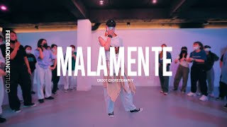 ROSALÍA  MALAMENTE  GROOT Choreography [upl. by Pavkovic791]