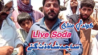 Gondal Mandi Today ll 19062023 ll Fateh Jangi Bull ll part 6 ll Domail Mandi [upl. by Neelyt746]