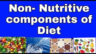 NonNutritiveComponentsofdiet [upl. by Branden]