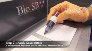 Bio SB Chromogenis InSitu Hybridization CISH  Demonstration Video [upl. by Civ]