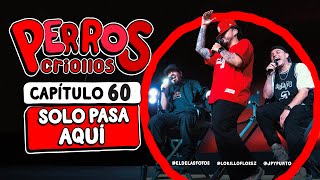 PERROS CRIOLLOS  SOLO PASA AQUÍ CAP 60 [upl. by Acirehs]