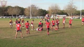 Los Miuras Junín vs Santa Rosa Rugby  Segundo Tiempo [upl. by Kellina866]