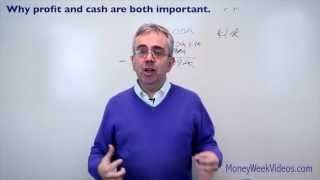 Why profit and cash are both important  MoneyWeek Videos [upl. by Adni]