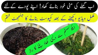 How To Make Natural Fertilizer in Plant pot  Desi khhad  booster fertilizer  Natural Fertilize [upl. by Anegal169]