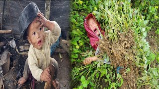 The orphan boy picked peanuts to sell They were robbed by two children in the village [upl. by Nahpos754]