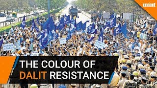 Why is blue the colour of Dalit resistance [upl. by Mandi]