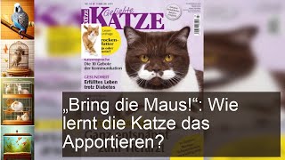 Katze Apportieren beibringen Wie geht das [upl. by Nodnek881]