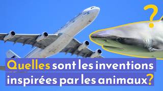 Biomimétisme comment la nature inspire nos inventions [upl. by Stillmann]