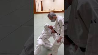 手刀hand sword 合気道 aikido aikidotechniques budo martialarts 武術 japanesemartialarts combat [upl. by Hidie460]