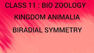 Biradial Symmetry  Kingdom Animalia  Class 11  Bio Zoology  Tamil [upl. by Atekal]