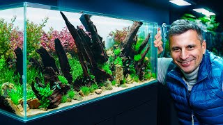 Creating A Stunning 243l Planted Aquarium With Ironwood Mastering The Art Of Perspective [upl. by Taffy]