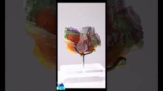 It’s a masterpiece of nature and timestone stoneid freestone stones rockid stoneapp [upl. by Fredericka710]