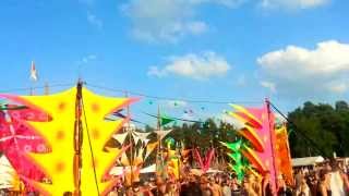 Psychedelic Circus Festival 2013  Audiomatic 01  PACELAND [upl. by Nakada]