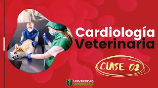 CARDIOLOGÍA VETERINARIA  CLASE 02 [upl. by Ytissahc199]