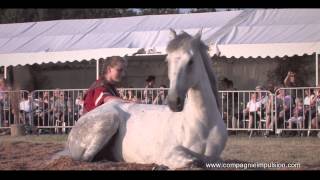 PEPLUM  Course char romain amp gladiateurs  Horseshow [upl. by Ihculo]