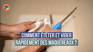 Comment étêter et vider rapidement des maquereaux [upl. by Notrem849]