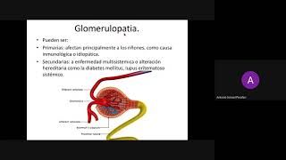 GlomerulopatiasIRAIRC [upl. by Lledrev762]