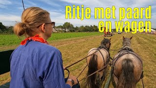 Ritje met paard en wagen  Historische Landbouwdag Rhoon 2023 [upl. by Sella218]