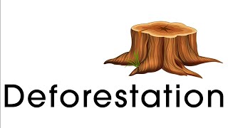 Deforestation Educational Environmental Video [upl. by Enylekcaj]