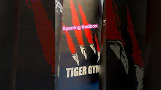 Thaibox sparring Tiger Gym Praha🇨🇿thaifighter muaythai thaiboxing sports [upl. by Bender]