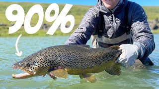 90 of Fly Fishing Trout in 15 minutes [upl. by Haliak]