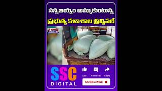 Principal Selling Rice Illegally In Siddipet  Shorts Sscdigital Balannamuchatlu [upl. by Ytsirt977]