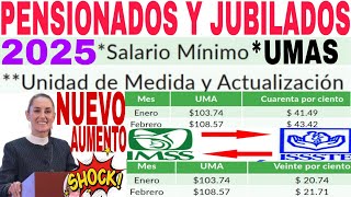 💥IMSS ISSSTE PENSIONADOS Y JUBILADOS LEY 73 LEY 97 TRANSITO E INDIVIDUALES NUEVA PENSIÓN 2025💥 [upl. by Ritchie]