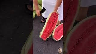 I LOVE THIS WATERMELON 🍉🍉🍉 shortvideo fruitcarving fruitcuting shotrs short watermelon [upl. by Shalna]